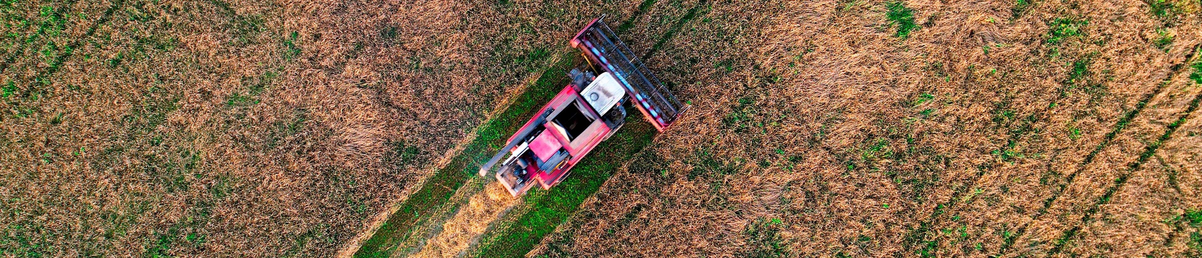 ehb electronics Lösungen Landmaschinen Forstmaschinen ehb electronics Lösungen Landmaschinen Forstmaschinen